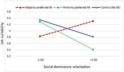 Ethnic Minorities’ Impression Management in the Interview: Helping or Hindering?